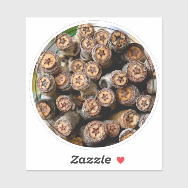 Pegatina Estrellas de los árboles de Cottonwood a lo largo  (Hoja)