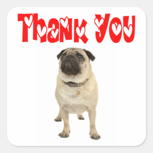 Pegatina / Etiqueta de agradecimiento Pug Cachorro