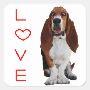 Pegatina / Etiqueta de cachorro de Basset Hound