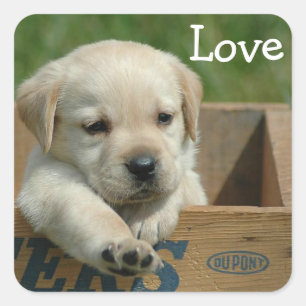 Pegatina / Etiqueta de cachorro de Labrador Retrie
