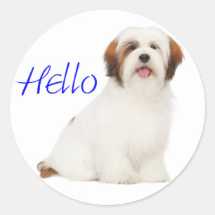 Pegatina / Etiqueta de cachorro de Lhasa Apso