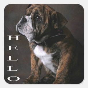 Pegatina / Etiqueta de cachorro de perro Bulldog I
