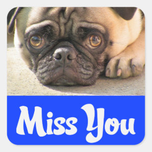 Pegatina / Etiqueta de saludo de cachorro de pug q