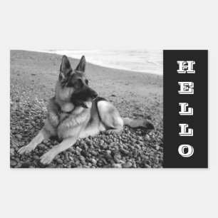 Pegatina / Etiquetas Hola / Hola Cachorro Pastor A