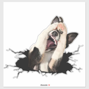 Pegatina facial de perro Fanny