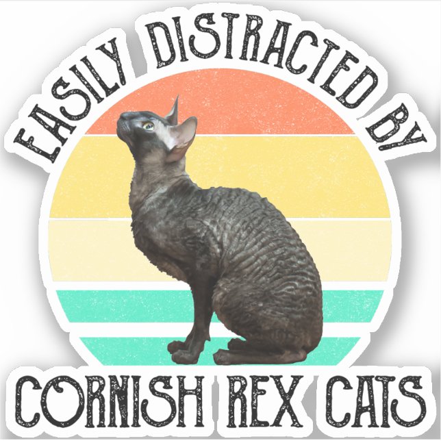 Pegatina Fácilmente Distraído Por Gatos Cornish Rex (Anverso)