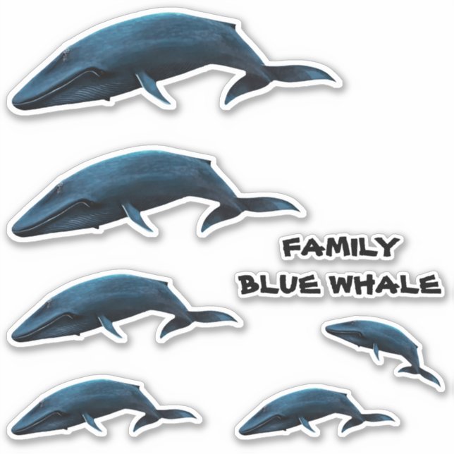 PEGATINA FAMILIA BLUE WHALE (Anverso)