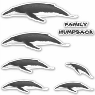 PEGATINA FAMILIA HUMPBACK WHALE