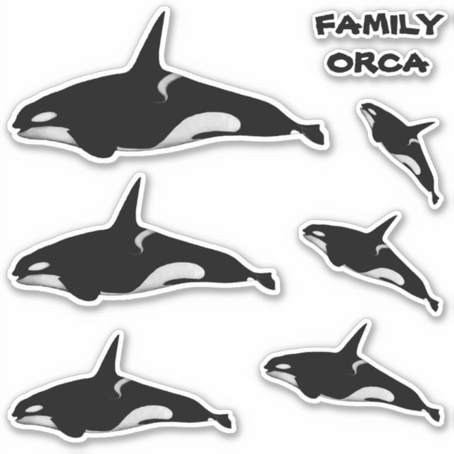 PEGATINA FAMILIA ORCA WHALE (Anverso)