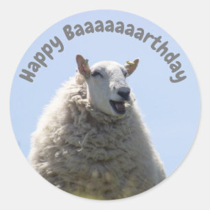 Pegatina Feliz Cumpleaños Sheep
