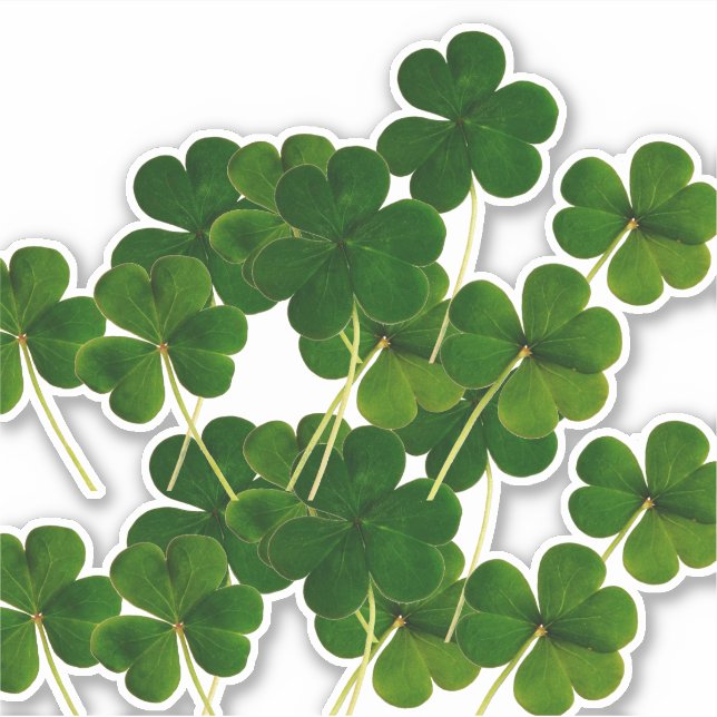 Pegatina Fiesta de San Patricio Shamrock Leaf Green 2020 (Anverso)