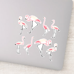 Pegatina Flamencos rosados