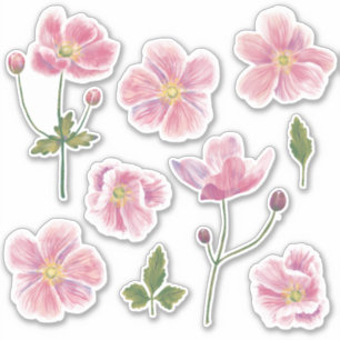 Pegatina Flor anémica japonesa