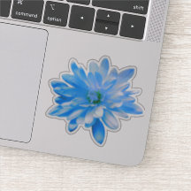 Flor azul floral azul girasol margarita