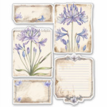 Flor de agapanthus Fussy Cut Ephemera