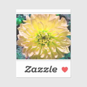 Pegatina Flor de Dahlia amarilla