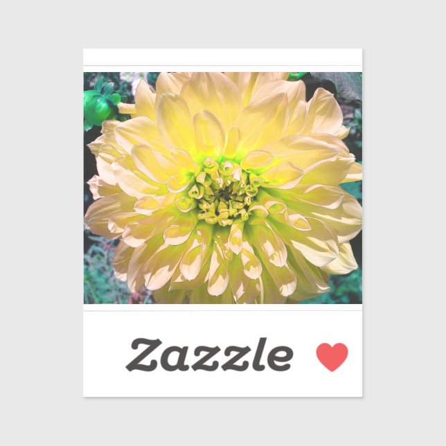 Pegatina Flor de Dahlia amarilla (Hoja)