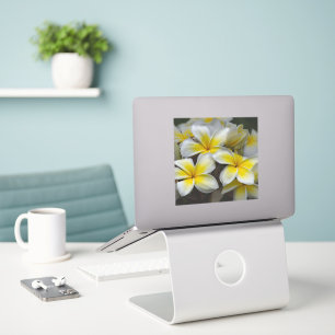 Pegatina Flor de Isla – Plumeria Amarilla
