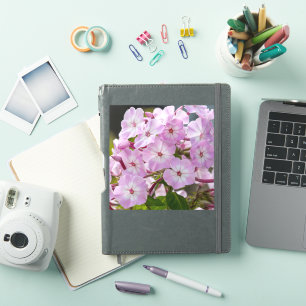 Pegatina Flor de la Unidad – Flox Rosa