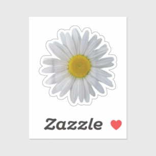 Pegatina Flor de margarita blanca, margarita floreciente, f