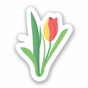 Pegatina Flor de Tulipán   Floral Bonito