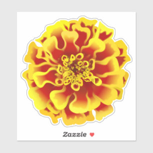Pegatina Flor Marigold