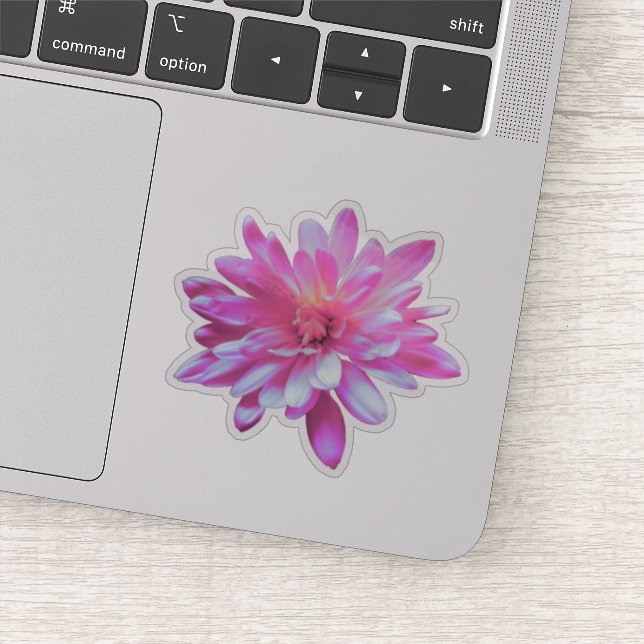 Pegatina Flor rosa rosa floral rosa Daisy girasol rosa (Detalle)