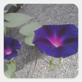 Pegatina floral brillante cuadrado