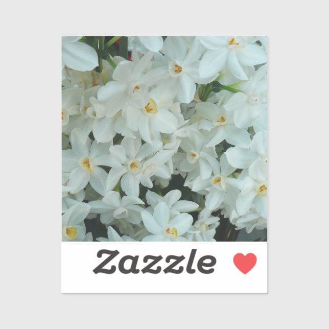 Pegatina Flores blancas de arcissus paperblancas (Hoja)