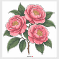 Flores de Camelia Rosadas en Flor con Hojas Verdes