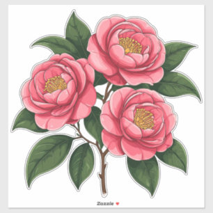 Pegatina Flores de Camelia Rosadas en Flor con Hojas Verdes
