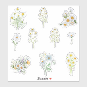 Pegatina Flores de Chamomile