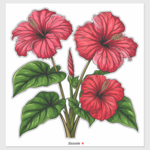 Pegatina Flores de Hibisco Rojo Vibrante con Hojas Verdes L