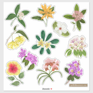 Pegatina Flores de jardín filipinas