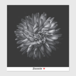 Pegatina Flores De Patio Trasero En Blanco Y Negro 20