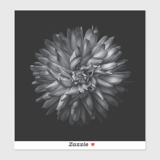 Pegatina Flores De Patio Trasero En Blanco Y Negro 20 (Hoja)