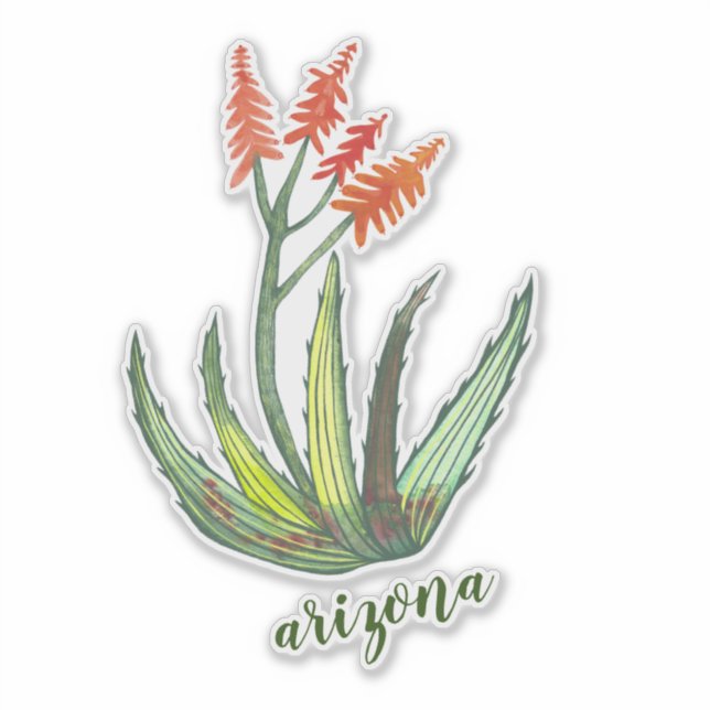 Pegatina Flores FLowers Aloe Vera Succulent (Anverso)