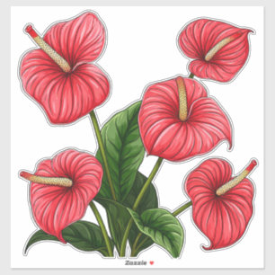 Pegatina Flores rojas de Anthurium con hojas verdes