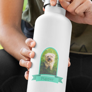 Pegatina Foto Arch Para Mascotas