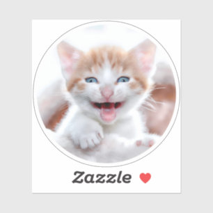 Pegatina Foto de forma de circulo de gatito nuevo