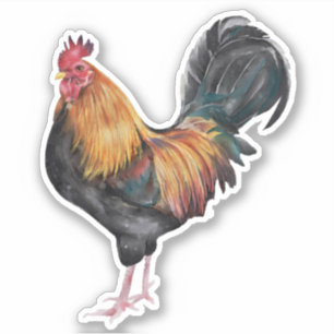 Pegatina Foto de gallo pollo