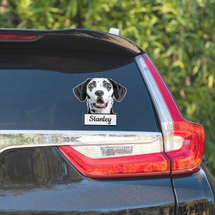 Pegatina Foto de mascota personalizada   Nombre personaliza