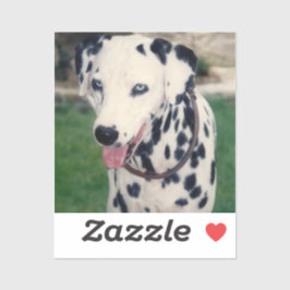 Pegatina Foto de mi Mascota amigo Personalizado