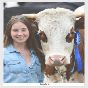 Pegatina Foto de vaca de exposición de ganado personalizada