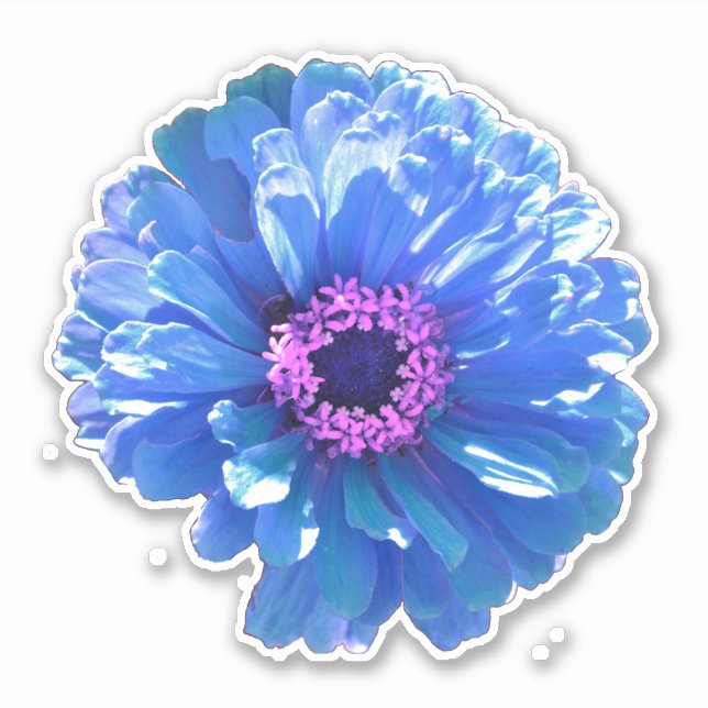 Pegatina Foto floral azul margarita (Anverso)