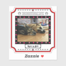 Foto incondicional de perro de amor con corazones