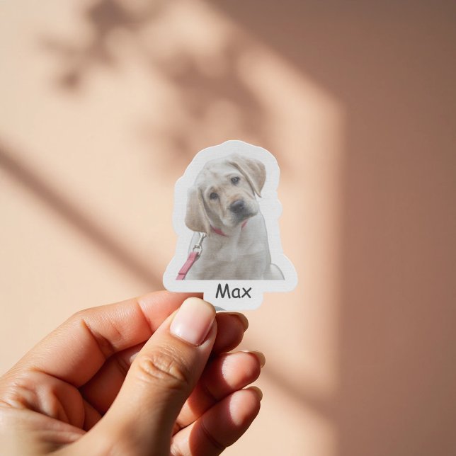 Pegatina Foto personalizada cachorro Labrador Retriever (Subido por el creador)