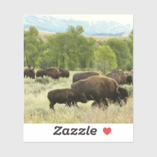 Pegatina Fotografía de animales de la naturaleza de Wyoming