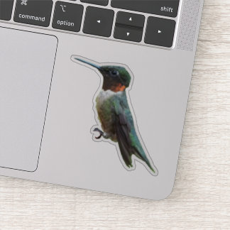 Pegatina Fotografía de pájaro húmedo con trompetas de rubí