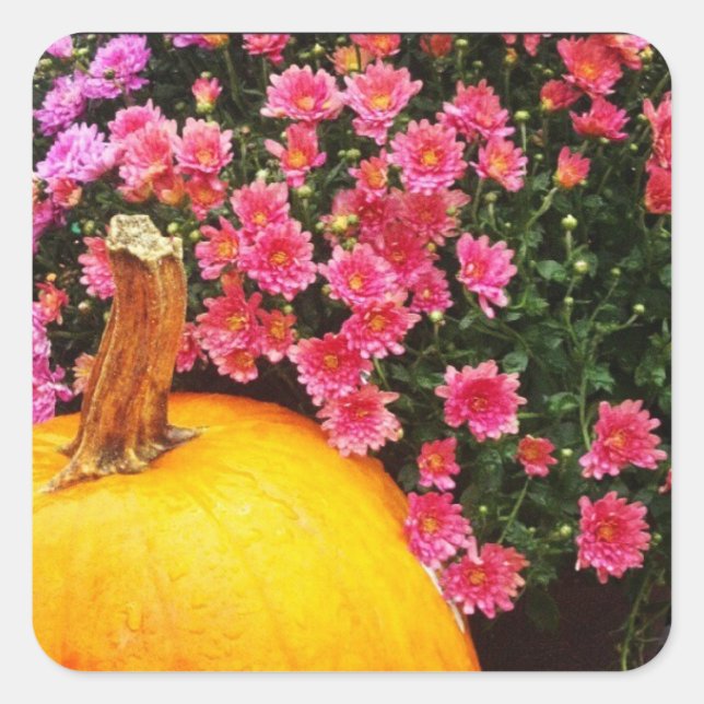 pegatina fotográfico de instagram (Anverso)